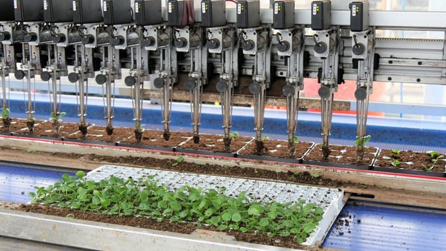 4 out of 5 UK growers say agri-robotics could help their businesses