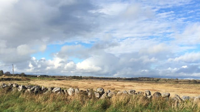 Single Farm Payments in the North drop in value in 2015