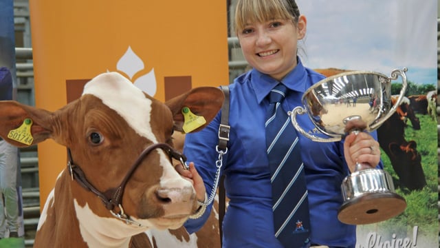 Entry date looming for Northern Ireland multi-breed calf show