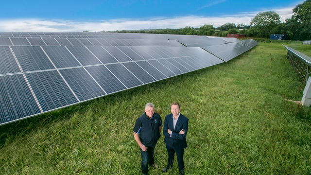 37ac solar farm powering Dale Farm’s cheddar cheese plant