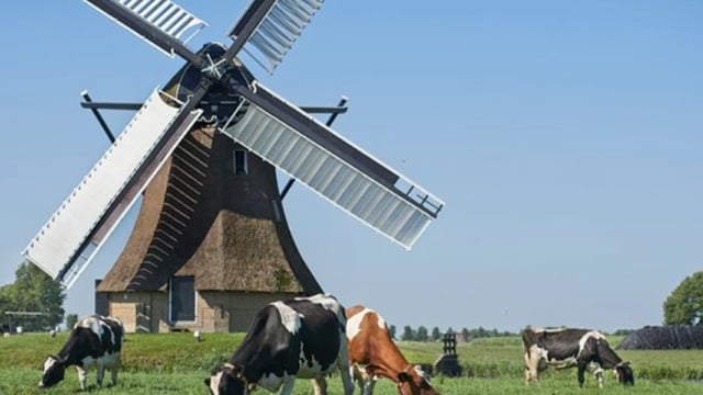 Dutch dairy farmers to get extra ‘cash payment’ from FrieslandCampina