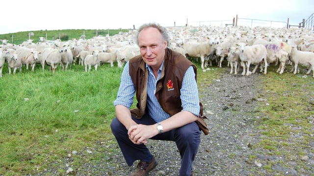 Farmer: Lamb prices to stay firm but support still needed