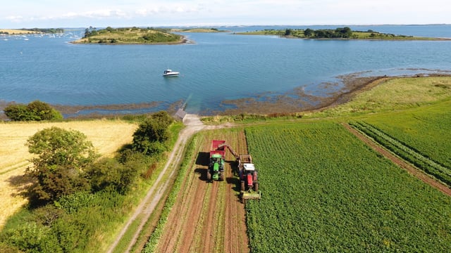 Bracing for Brexit: Innovative veg exporter details plans