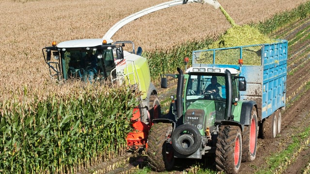 GM crops to be banned in Northern Ireland