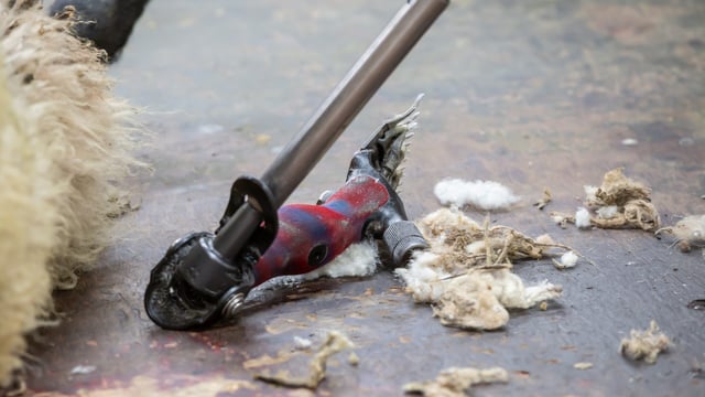 Checklist for shearers and farmers produced during Covid-19