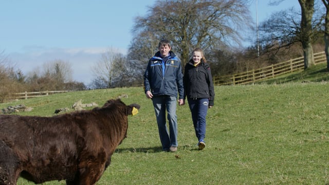 From Clare to Kigali: Flying in-calf heifers 7,000km to change lives