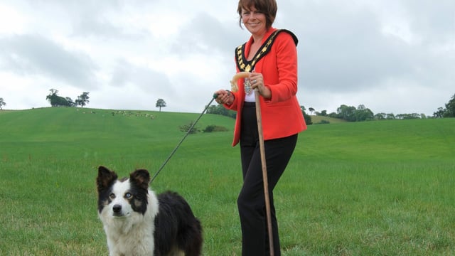 Dromore gears up for International Sheepdog Trial 2018