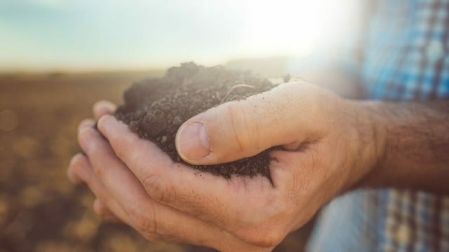 Get soil sampling this autumn