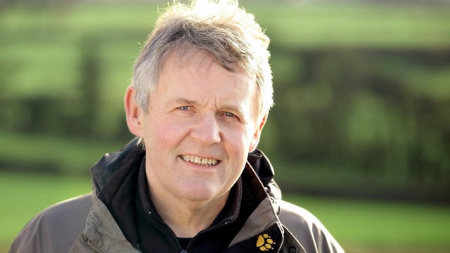Budget ‘encouraging’ but longer term decisions are needed