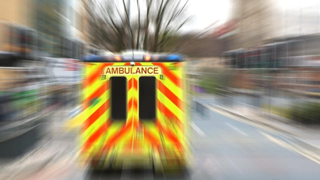 Woman killed in a farm accident involving a cow