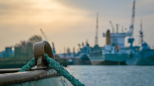 Search underway for 42 crew after cattle ship capsizes in East China Sea