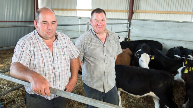 Countdown on to the NI Beef Expo – NI’s biggest technical beef event