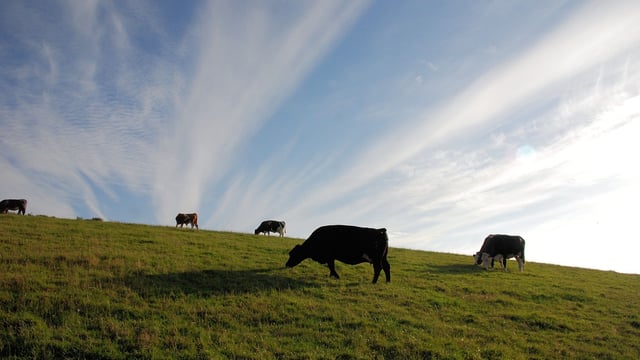 Submissions open for global advancement in agri-food contest