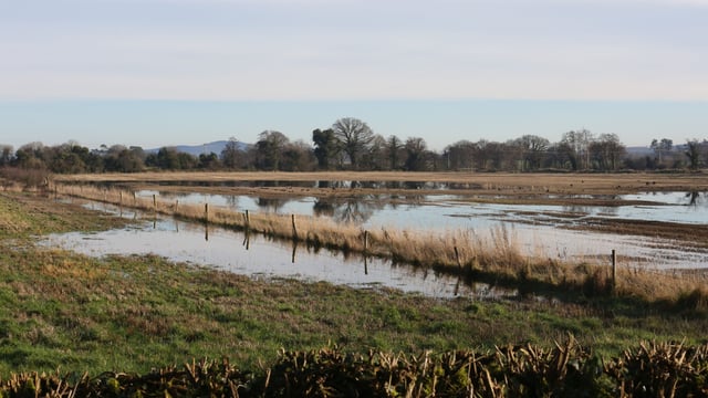 Farmers in the North hit by flooding to benefit from £1,000 relief