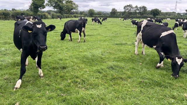 Prepare a nutrient management plan for the new season