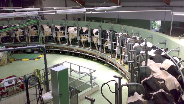 Northern production hits November record as milk prices rise above 33p/L