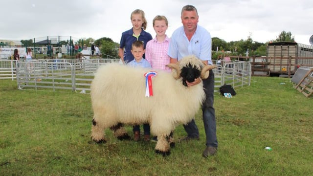 Farm census: 1,000 more farm jobs than 2016 and sheep make a comeback