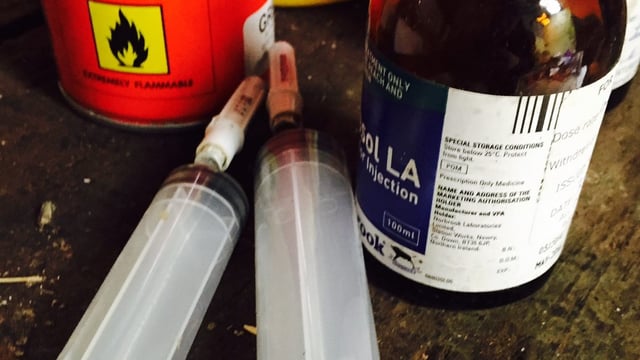 Warning issued following theft of animal antibiotics