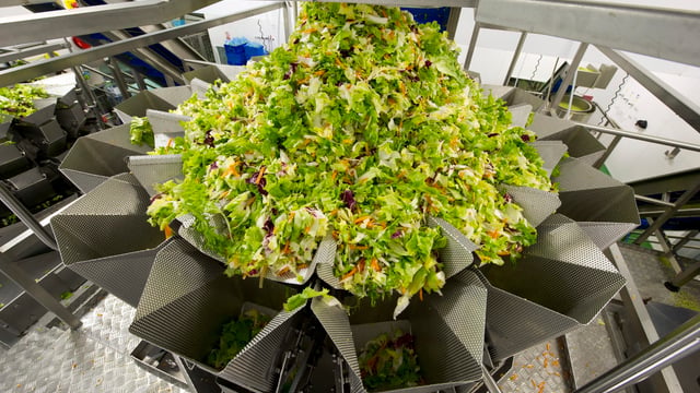 Salad giant Willowbrook secures €2.5m of additional business in ROI