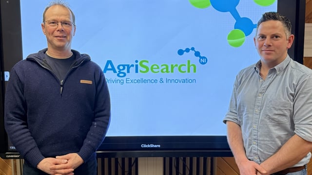 AgriSearch appoints new chair and vice chair for sheep committee