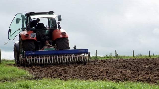 Identifying paddocks for early spring reseed & clover incorporation