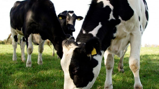 Opinion: Irish agriculture is on the front foot, at last