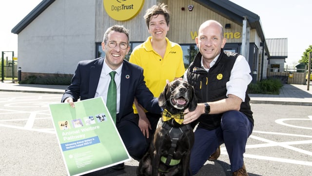 NI minister proposes ‘radical’ plan on animal welfare