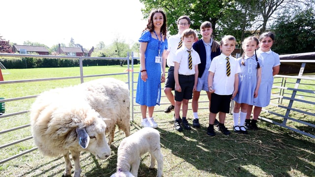 Thousands of school pupils engage in ‘Loan a Lamb’ initiative