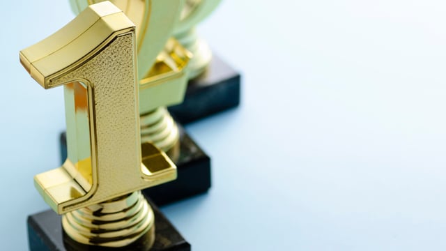 Nominations open for 2025 veterinary wellbeing awards