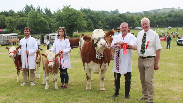 Super Simmental cow carries the day at Saintfield Show