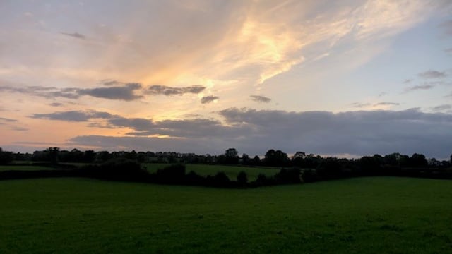Total income from farming rises by 62.5% in NI in 2024