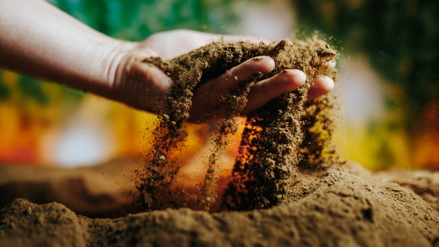 ‘Solid growth’ for Origin Enterprises drives increased revenues