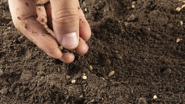 ‘Climate change isn’t just about weather’ – researcher