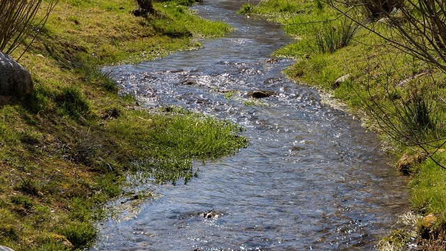 Consultation opens on fourth NI River Basin Management Plan