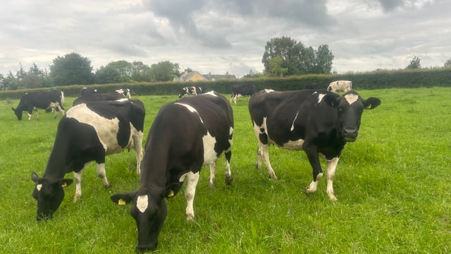 NI agriculture in ‘strong state of financial health’ – adviser
