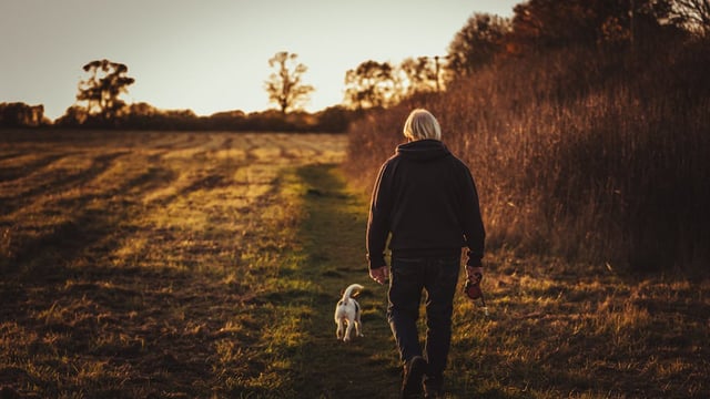 Farmers more likely to seek financial advice around pensions