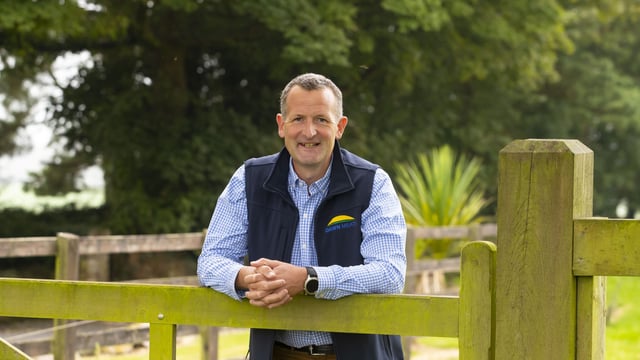 Dawn Meats seeks majority share of NZ’s largest lamb processor