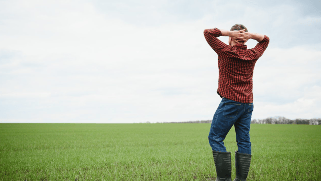 Programme set to support young farmers in Yorkshire this winter