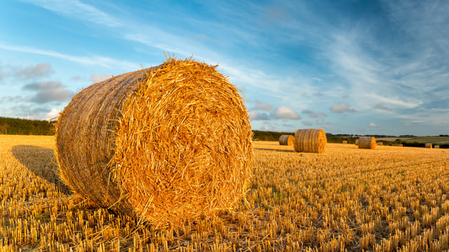 PDA: Dry season will impact on potash offtakes