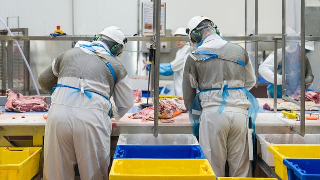 ‘Further consolidation in the meat-processing sector is likely’ – AHDB