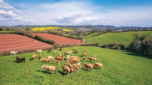 UK agri-food charity body aims to ‘unlock potential’ with new strategy