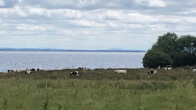 Minister urged to attend meeting with farmers about Lough Neagh