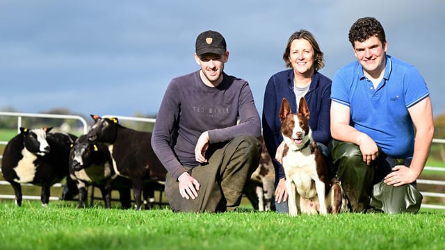 Derg Dutch Spotted flock set for disperal sale at Ballymena