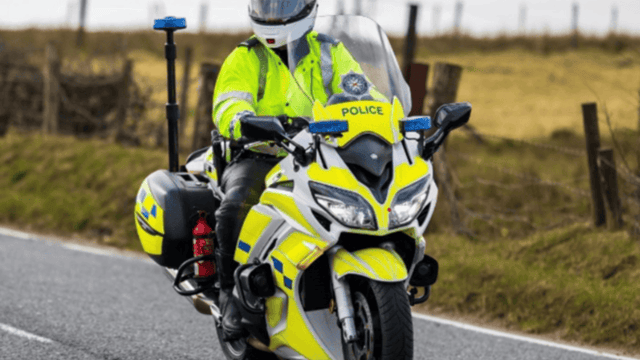 PSNI appeal for information following report of cattle theft from Tyrone farm