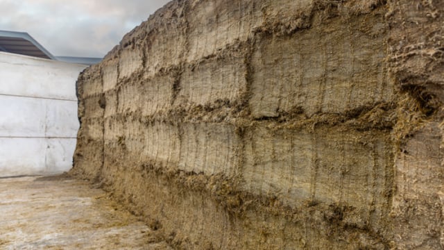 Reasons to keep silage waste to a minimum this winter