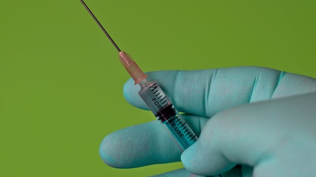 NI vets urge UK government to clarify access to medicines – BVA