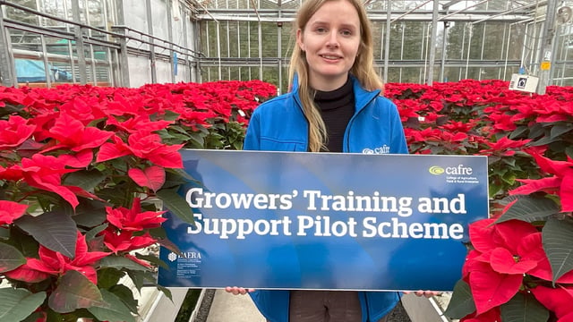 CAFRE Horticulture Pilot Scheme application deadline extended