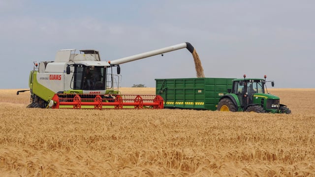 FAO Food Price Index declines in November