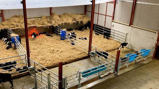 Getting facilities prepared ahead of the calving season