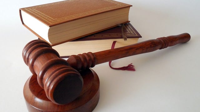 Court: NI farmer sentenced in animal welfare case